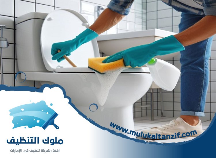 شركة تنظيف حمامات في الفجيرة