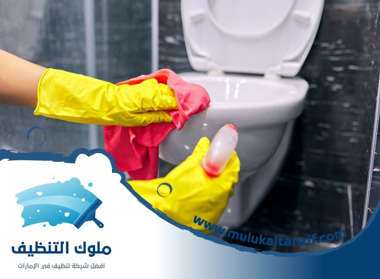 شركة تنظيف حمامات