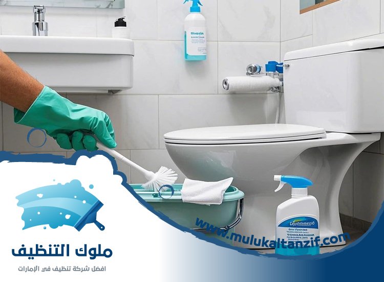 شركة تنظيف حمامات في ام القيوين