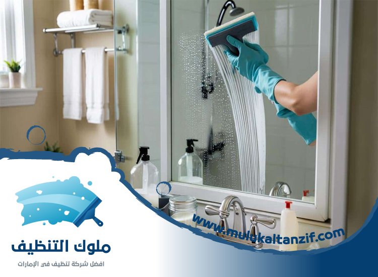 شركة تنظيف حمامات في دبي