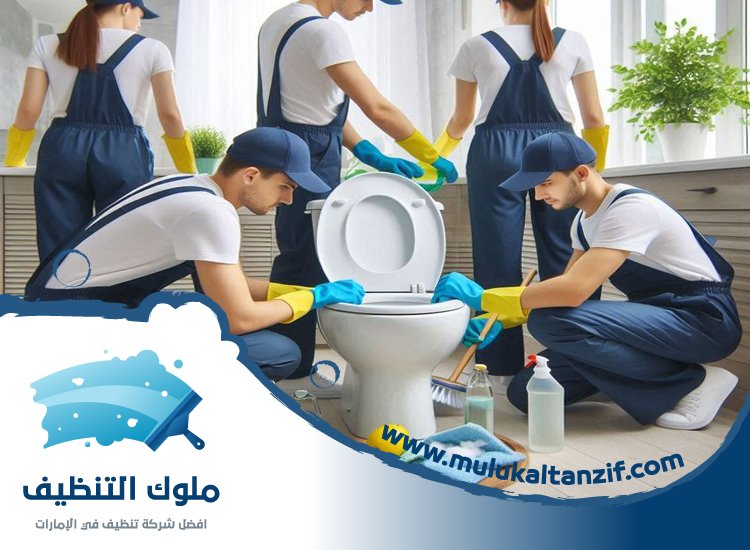 شركة تنظيف حمامات