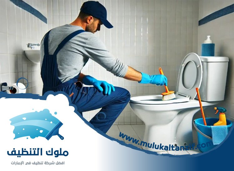 شركة تنظيف حمامات