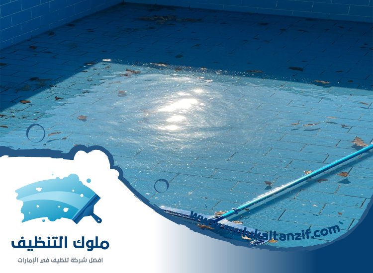 شركة تنظيف مسابح