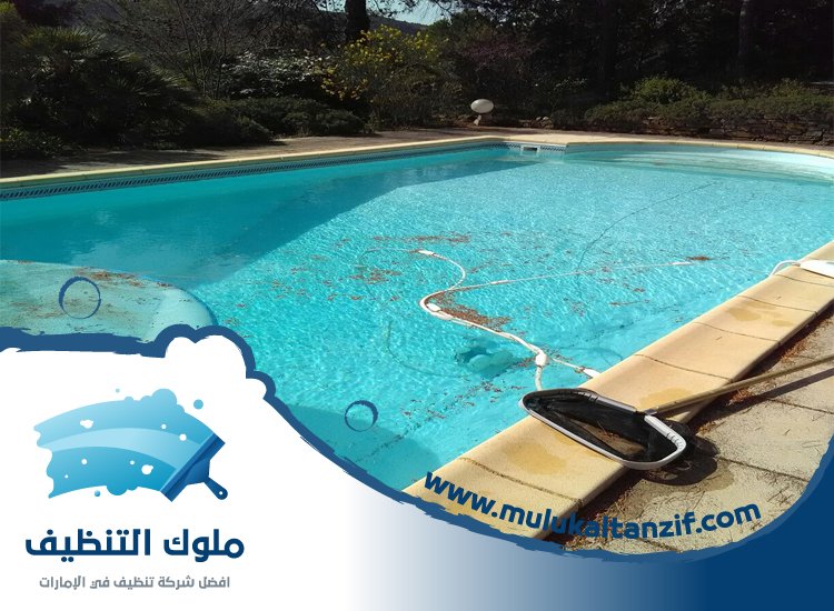 شركة تنظيف مسابح