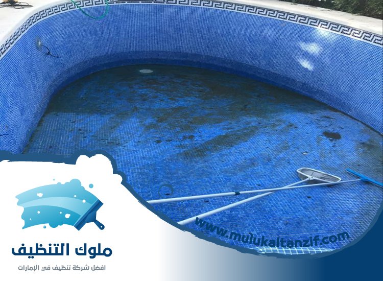 شركة تنظيف مسابح في ام القيوين