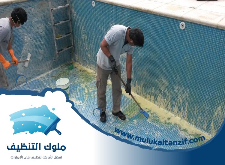 شركة تنظيف مسابح في الفجيرة