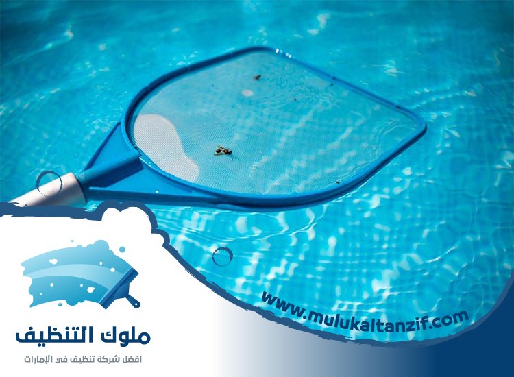 شركة تنظيف مسابح في الفجيرة