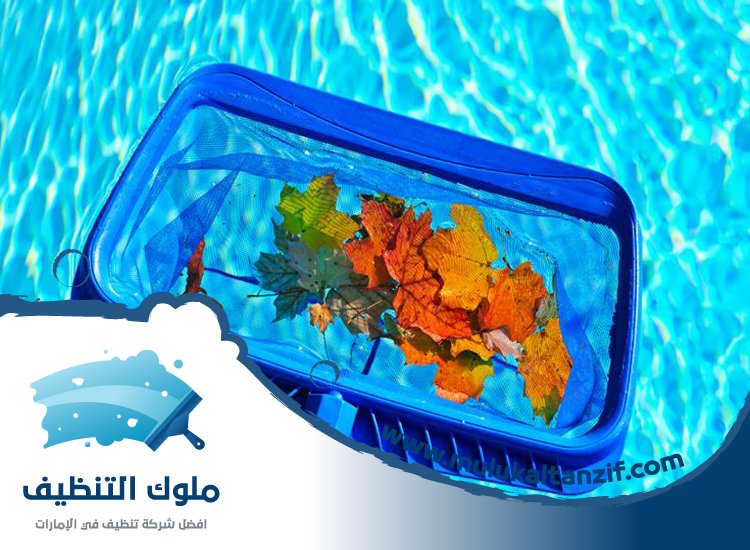 شركة تنظيف مسابح