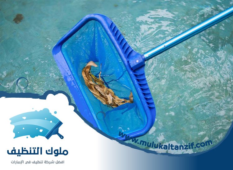 شركة تنظيف مسابح في دبي