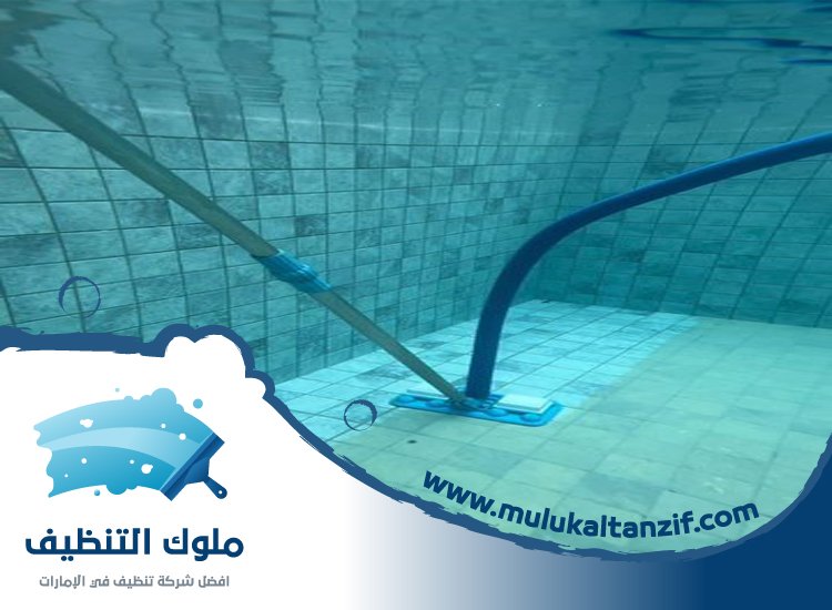 شركة تنظيف مسابح في الشارقة