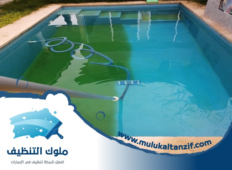 شركة تنظيف مسابح في الشارقة